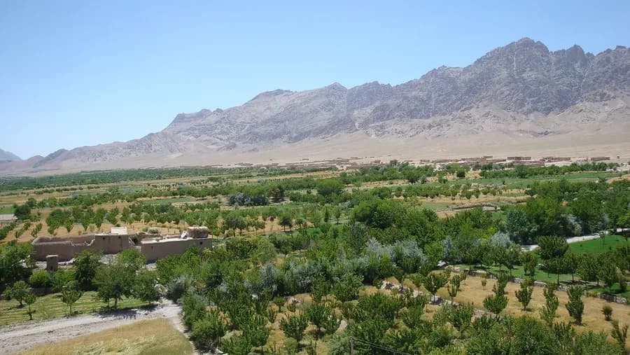 ارزگان خاص