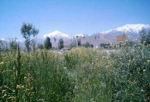 ار‏ه ‏کش /Ara_kaŝ/