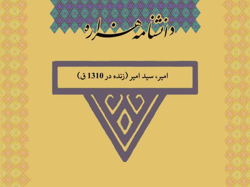 امیر، سید امیر (زنده در ۱۳۱۰ ق)