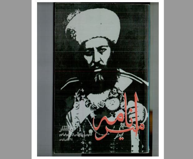 امیرنامه