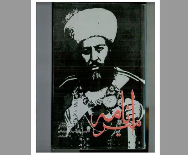 امیرنامه
