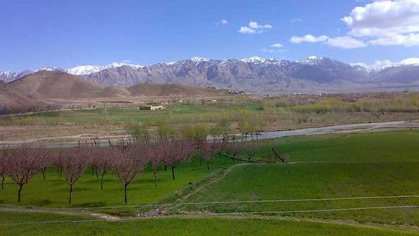 عروس گمشدۀ ارزگان